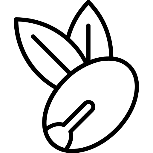 argan SVG PNG LOGO CLIPART Vectors Images Hd Icons Graphics.