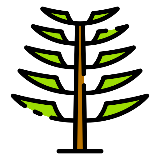 araucaria-tree SVG PNG LOGO CLIPART Vectors Images Hd Icons Graphics.