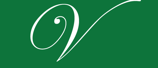 vectorsmart logo